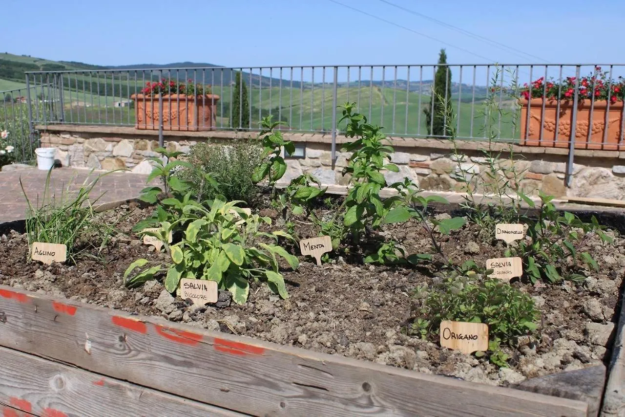 Agriturismo La Paciarella Βίλα Campiglia dʼOrcia