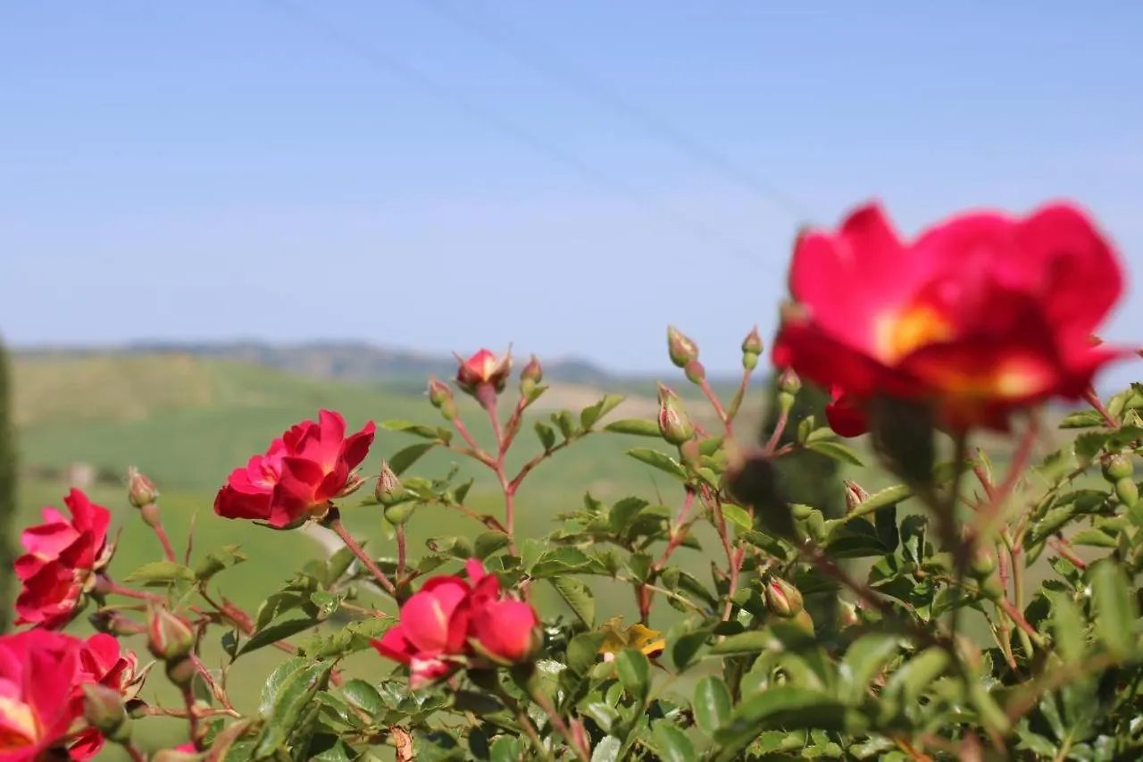 Agriturismo La Paciarella Βίλα Campiglia dʼOrcia