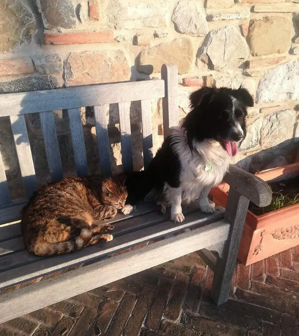 Agriturismo La Paciarella Βίλα Campiglia dʼOrcia 0*,